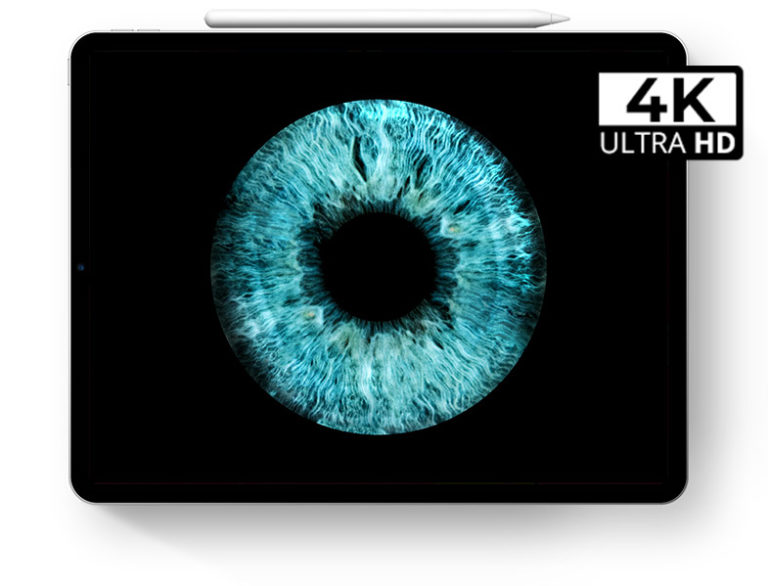 EASYIRIS IrisfotoAnbieter in Hamburg vergleichen