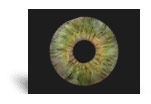 Was es bei dem Kauf die Iris kontaktlinsen zu bewerten gibt